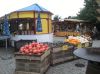 Stoiska farmy Spargelhof Kleistoff.